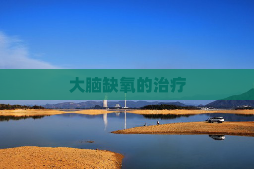 大脑缺氧的治疗 大脑缺氧的治疗