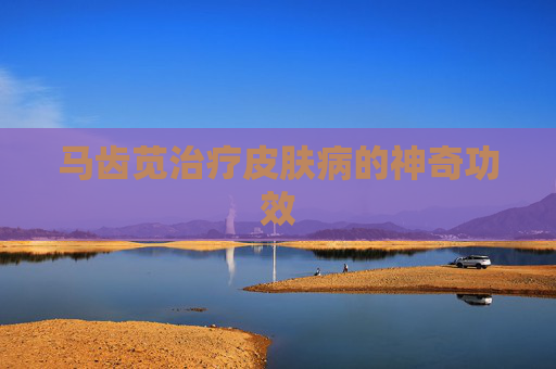 马齿苋治疗皮肤病的神奇功效