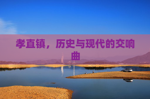 孝直镇，历史与现代的交响曲