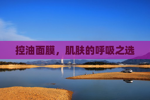 控油面膜,肌肤的呼吸之选 控油面膜,肌肤的呼吸之选