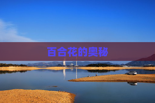 百合花的奥秘