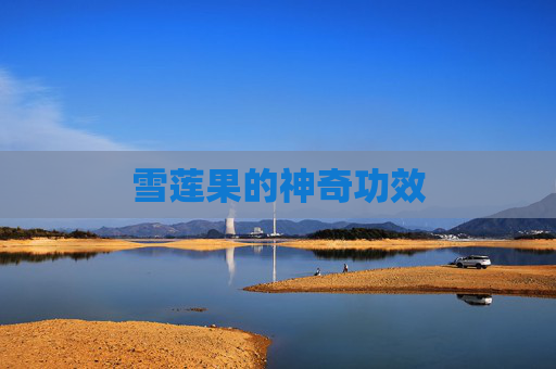 雪莲果的神奇功效 雪莲果的神奇功效