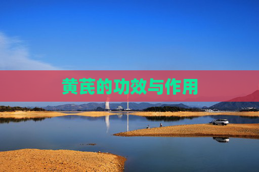 黄芪的功效与作用