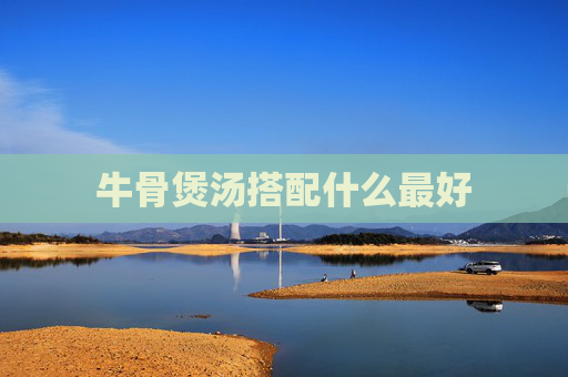 牛骨煲汤搭配什么最好