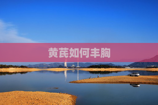 黄芪如何丰胸