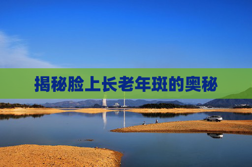 揭秘脸上长老年斑的奥秘