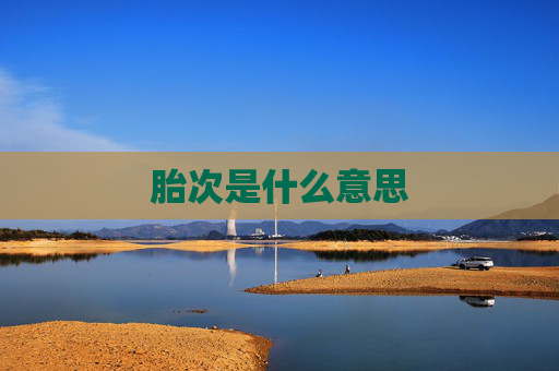 胎次是什么意思