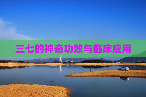 三七的神奇功效与临床应用