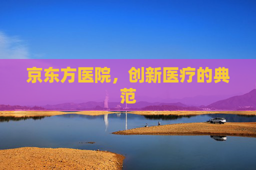 京东方医院，创新医疗的典范