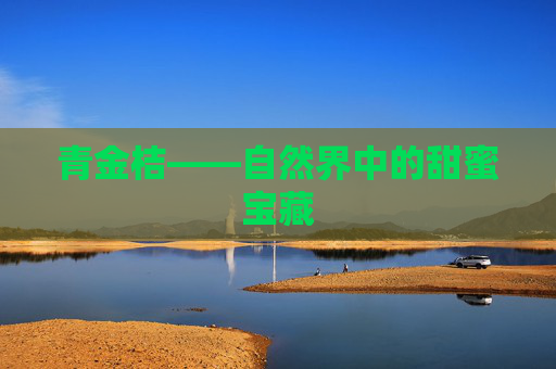青金桔——自然界中的甜蜜宝藏