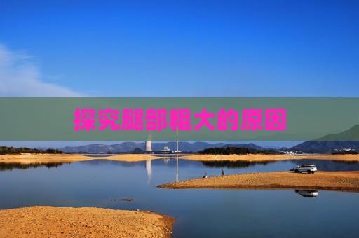 探究腿部粗大的原因