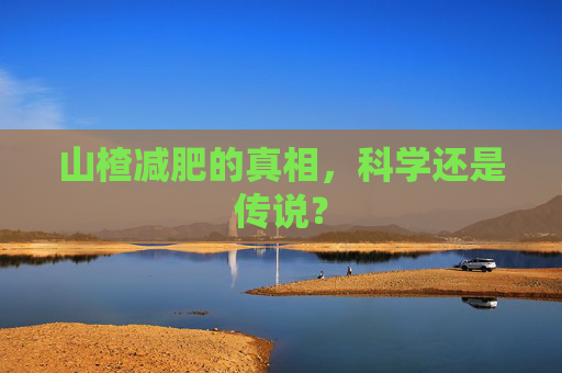 山楂减肥的真相，科学还是传说？