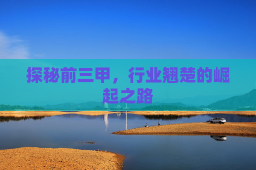 探秘前三甲，行业翘楚的崛起之路