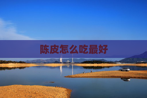 陈皮怎么吃最好
