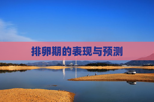 排卵期的表现与预测