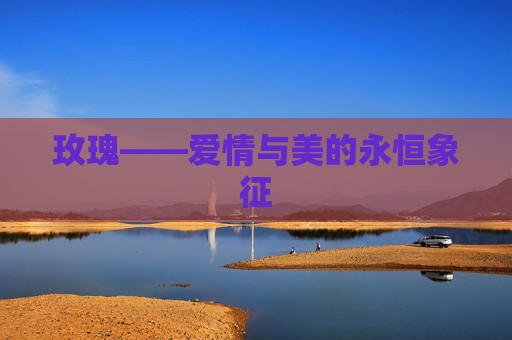 玫瑰——爱情与美的永恒象征 玫瑰——爱情与美的永恒象征