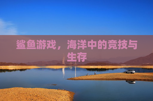 鲨鱼游戏，海洋中的竞技与生存