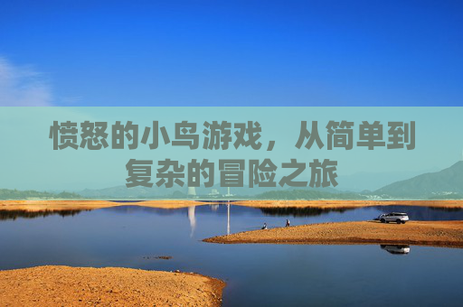 愤怒的小鸟游戏，从简单到复杂的冒险之旅