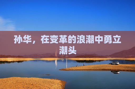 孙华，在变革的浪潮中勇立潮头