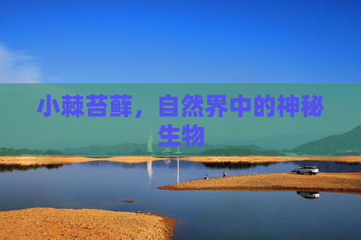 小棘苔藓，自然界中的神秘生物
