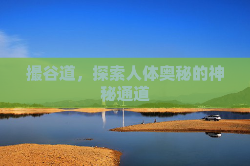 撮谷道，探索人体奥秘的神秘通道