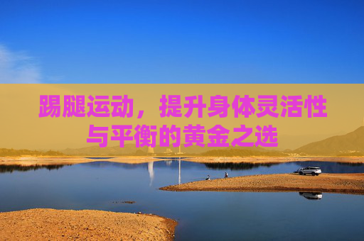 踢腿运动，提升身体灵活性与平衡的黄金之选