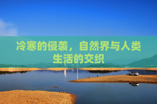 冷寒的侵袭,自然界与人类生活的交织 冷寒的侵袭,自然界与人类生活的交织