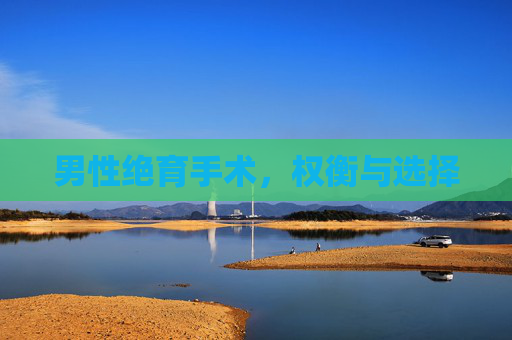 男性绝育手术，权衡与选择