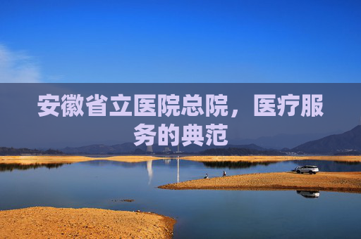 安徽省立医院总院，医疗服务的典范