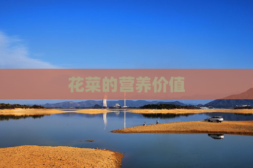 花菜的营养价值