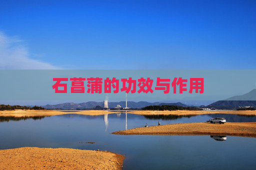 石菖蒲的功效与作用