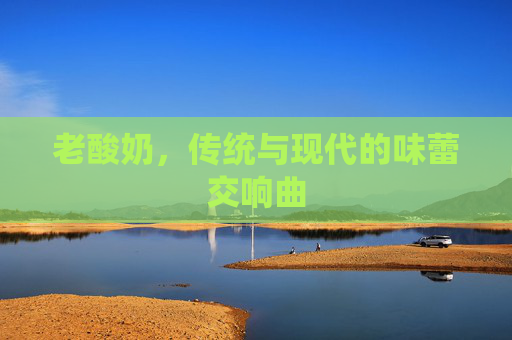 老酸奶，传统与现代的味蕾交响曲
