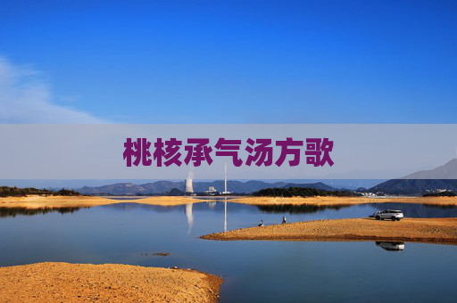 桃核承气汤方歌