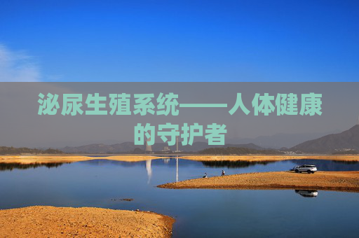 泌尿生殖系统——人体健康的守护者