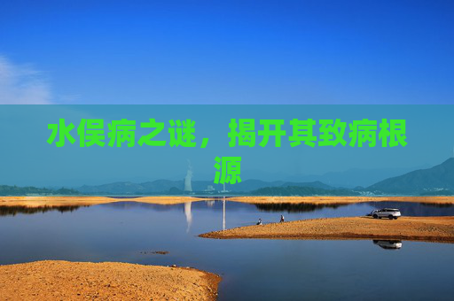水俣病之谜，揭开其致病根源