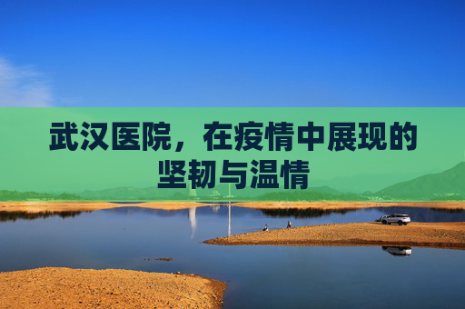 武汉医院，在疫情中展现的坚韧与温情