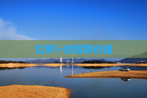 红萝卜的营养价值