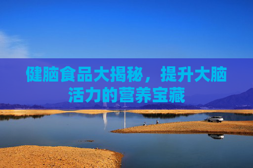 健脑食品大揭秘，提升大脑活力的营养宝藏