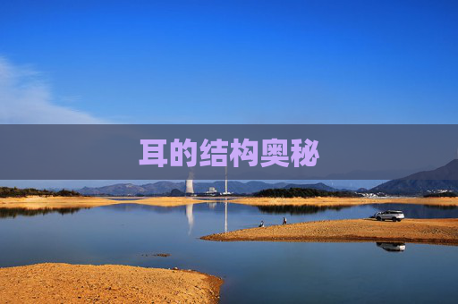 耳的结构奥秘 耳的结构奥秘