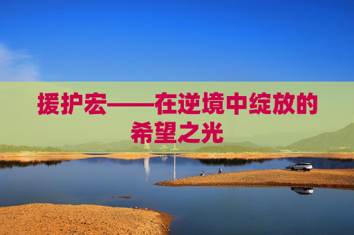 援护宏——在逆境中绽放的希望之光