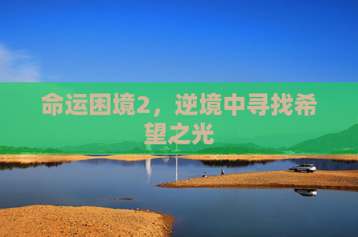 命运困境2，逆境中寻找希望之光