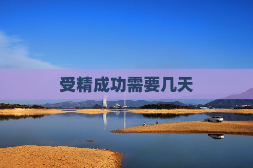 受精成功需要几天