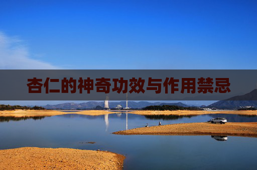 杏仁的神奇功效与作用禁忌