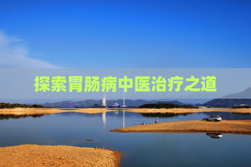 探索胃肠病中医治疗之道