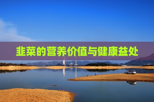 韭菜的营养价值与健康益处