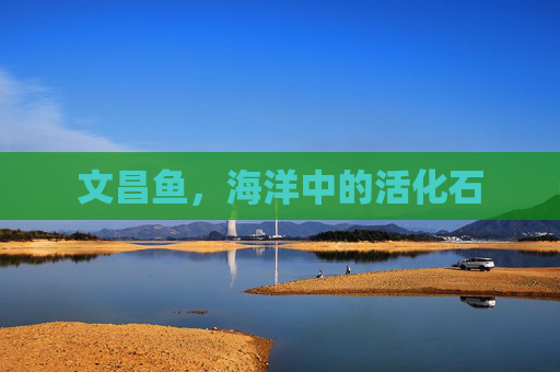 文昌鱼,海洋中的活化石 文昌鱼,海洋中的活化石