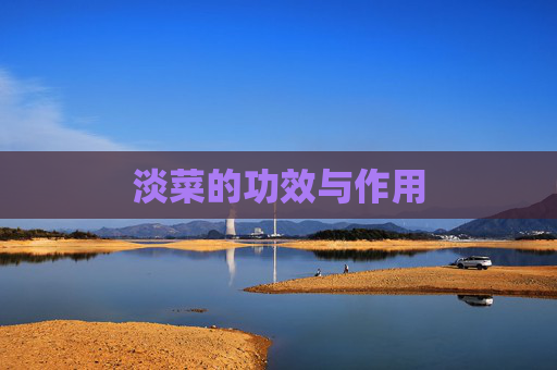淡菜的功效与作用