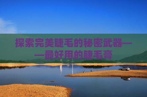 探索完美睫毛的秘密武器——最好用的睫毛膏