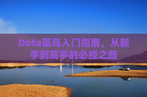 Dota菜鸟入门指南，从新手到高手的必经之路