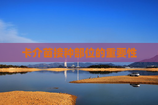 卡介苗接种部位的重要性